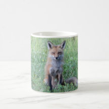 Foxy Lady Coffee Mugs