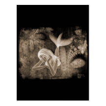 Fractal Background 3D Mermaid Brown Negative Postcard