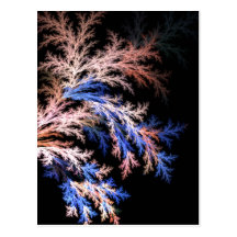 Fractal fern postcard