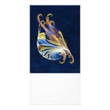Fractal - Sea Creature Picture Card