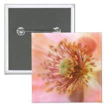 Fragile Bloom - Spring Poppy Button