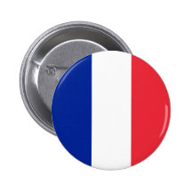 France Flag Pin