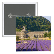 France, Gordes. Cistercian monastery of Pins
