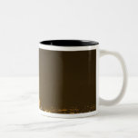 France, Paris. Nighttime view of Eiffel Tower Coffee Mug