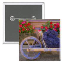 France, Provence, Sault. Old wooden cart with Buttons