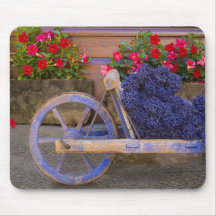 France, Provence, Sault. Old wooden cart with Mousemats
