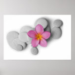 Frangipani and Pebbles Print