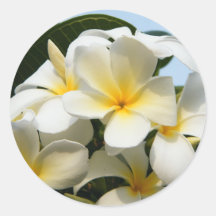 Frangipani Bliss Stickers