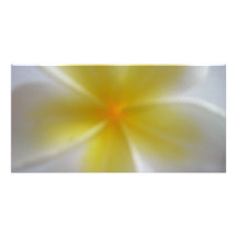 Frangipani Customized Photo Card