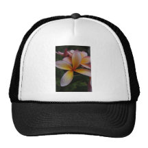 Frangipani design hat