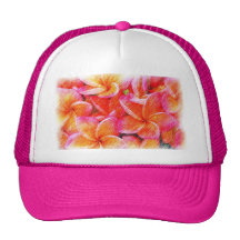 Frangipani drawing hats