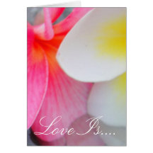 Frangipani Fever Cards