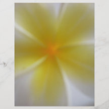 Frangipani Flyers