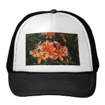 Frangipani Hat