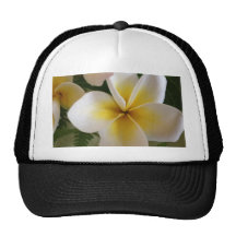 Frangipani Hat