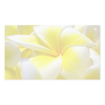 Frangipani / MacLaren wedding placecard Business Cards