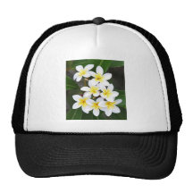 Frangipani Mesh Hat