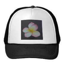 FRANGIPANI MESH HATS