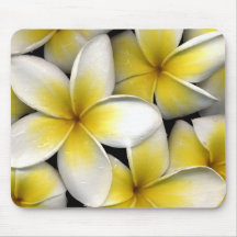 Frangipani Mousemats