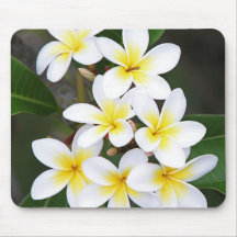 Frangipani Mousepad