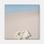 Frangipani on the beach fridge magnets