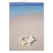 Frangipani on the beach greeting cards