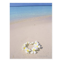 Frangipani on the beach postcard