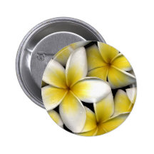 Frangipani Pins