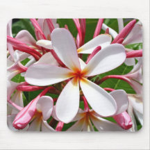 Frangipani (Plumeria) Mousepad