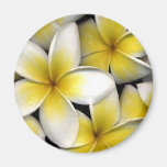 Frangipani Refrigerator Magnet