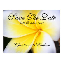 Frangipani -  Save The Date Post Card