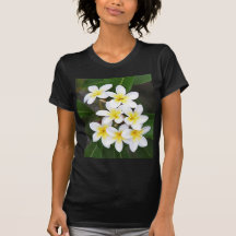 Frangipani Shirts