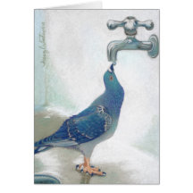 Frank's Pidgeon Cards