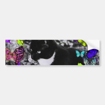 Freckles in Butterflies II - Black & White Tux Cat Bumper Stickers