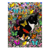 Freckles in Butterflies - Tux Kitty Cat postcards