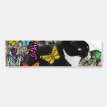 Freckles in Butterflies - Tuxedo Kitty Bumper Stickers