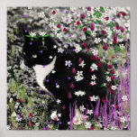 Freckles in Flowers I - Black and White Tux Cat Posters