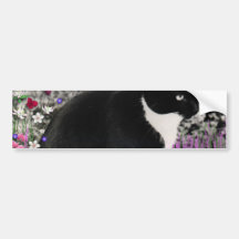 Freckles in Flowers II - Black and White Kitty Bumper Stickers