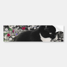 Freckles in Flowers II - Tuxedo Cat Bumper Sticker