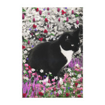 Freckles in Flowers II - Tuxedo Kitty Cat Stretched Canvas Print