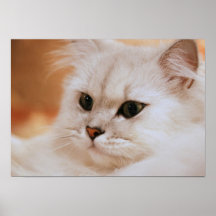 Freddie the Great Poster