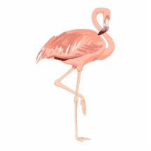 Freddy Flamingo Photo Sculptures