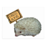 Free Hugs Hedgehog Post Card