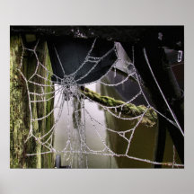 Free Webspace Poster