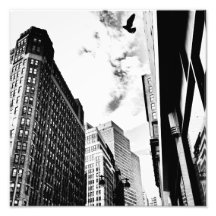 Freedom - Bird Flying Near New York Skyscrapers Photograph
