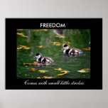 Freedom Poster