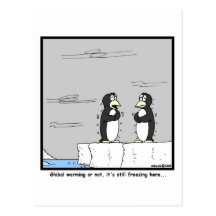 Freezing Post Cards