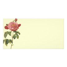 French Botanical Beauty *Vintage Flowers* Customized Photo Card