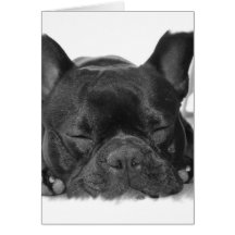 French Bulldog Greeting Card