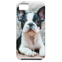 French Bulldog iPhone 5 Cover